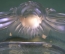Пепельница "Голова льва". Стекло. Lalique. Франция.
