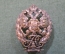 Знак нагрудный "Для окончивших Императорский Александровский лицей". Бронза. Российская Империя. 