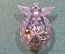 Знак нагрудный неатрибутированный. Возможно Электротехническое училище. Российская Империя.