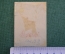 Экслибрис, ex libris, книжный знак. Из книг Графини Екатерины Павловны Шереметьевой. Библиотека.