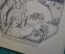 Экслибрис, ex libris, книжный знак. Из собрания А.К. Пожарского. Библиотека.