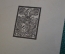 Экслибрис, ex libris, книжный знак. Лебедь, геральдика. Библиотека.