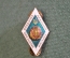 Знак ромб ВУЗ "Национальная Юридическая Академия Украина". Тяжелый металл.