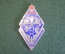 Знак плакетка "ПСО Динамо участнику соревнований". Тяжелый металл. Коробка. РФ. 2024 год.