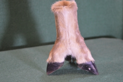 Карандашница "Козья ножка копытце". Мех. Винтаж. Охота. ГДР. Германия.