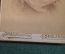 Фотография старинная "Девушка в платье с отворотами". Гершевич, Смоленск. #O7