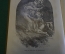 Книга старинная. Европейские классики. Шекспир. Том II и III. Царская Россия. 1912 и 1913 год.
