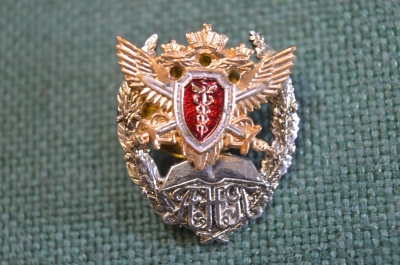 Знак, значок "Академия, Налоговая Полиция". Цанга. Дефект.
