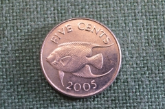 Монета 5 центов 2005 год. Five cents. Рыба. Елизавета II, Бермуды, Бермудские острова.