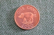 Монета 1 цент 2000 год. One cent. Кабан. Елизавета II, Бермуды, Бермудские острова.