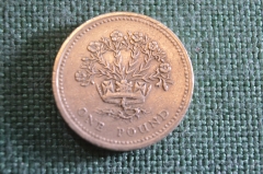 Монета 1 фунт 1991 год. One pound. Лен и диадема. Елизавета II, Великобритания.