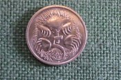 Монета 5 центов 1999 год. Ехидна. Елизавета II, Австралия. 
