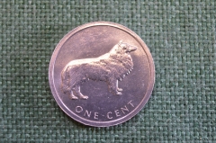 Монета 1 цент 2003 год. Собака Бордер-колли. Елизавета II. Cook Isladns, Острова Кука. 