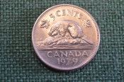 Монета 5 центов 1979 год. Бобр, бобер. Елизавета II. Canada, Канада.