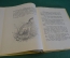 Книга "Кладовая солнца". М. Пришвин. Рисунки Рачева. Детгиз, 1947 год. #K16