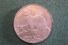 Монета 3 рубля 1995 года, серебряная "Соболь". Серебро 925 проба. Вес 33,93 гр. Инвестиционная.