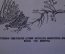 Книга "Лесная газета". Виталий Бианки. Суперобложка. Детская Литература, 1949 год. #K15