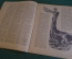 Журнал "Вокруг Света". Номер 7, июль 1936 года. Голубой базальт, негр на ринге.