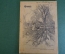 Журнал старинный "Огонек". Номер 15 за 1916 год. Заем и Победа. Российская Империя.