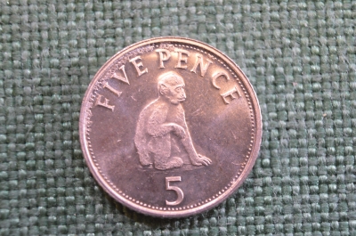 Монета 5 пенсов 2005 года. Five Pence. Обезьяна. Гибралтар, Gibraltar. Елизавета II.