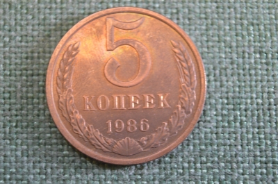 Монета 5 копеек 1986 года. Погодовка СССР.