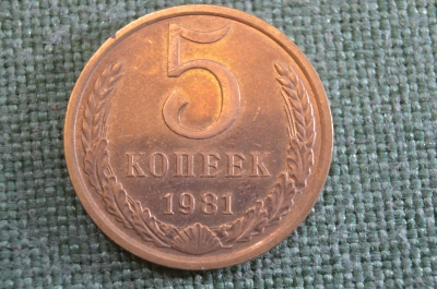 Монета 5 копеек 1981 года. Погодовка СССР.