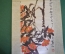 Плакат, рисунок китайский на бумаге, цветы. Китай, 1956 год.