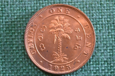 Монета 1 цент 1923 год. Ceylon. One Cent. Георг V. Цейлон.
