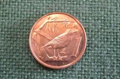Монета 1 цент 2005 год. Cayman Islands. One cent. Елизавета II. Каймановы Острова.