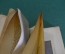 Книга "Ботанико-географический сборник. Растительность СССР". Изд. Брокгауз Ефрон, 1925 год. #K22
