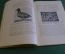Книга "Пол и его признаки". Проф. В.М. Шимкевич. Изд-во Гржебина, 1921 год. #K25