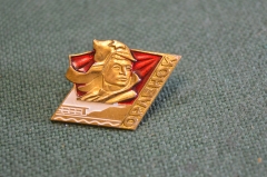 Знак значок "Орленок". Тяжелый металл. Цанга.