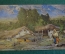Открытка старинная "В Бессарабии". Колесников. Изд. Ришар. Царская Россия. #S1