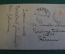 Открытка старинная "Девушка с розой". Царская Россия. До 1917 года. #S4