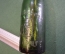 Бутылка пивная старинная 0,5 l. Фарфоровая пробка. Зеленое стекло. Винтаж.