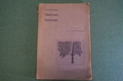 Книга "Переход от Тайнобрачных к Явнобрачным". Ботаника. Проф. Кузнецов. Тип. Матиссен 1914 г. #K26