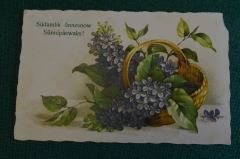 Открытка старинная "Поздравление Корзина с цветами". Прибалтика. Подписана. Царская Россия. #S5