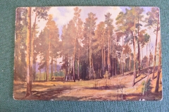 Открытка старинная "Полянка с соснами". Шишкин. Изд. Ришар. Царская Россия. #S5