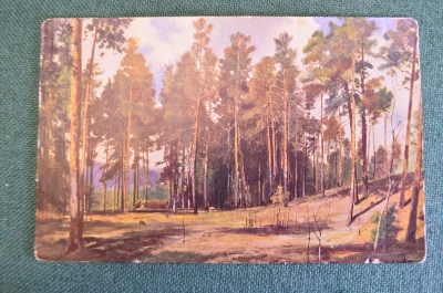 Открытка старинная "Полянка с соснами". Шишкин. Изд. Ришар. Царская Россия. #S5