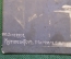 Открытка "Композитор Марсильезы". Скрипач. 890 Scherrer. #O8