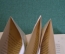 Книга "Происхождение высших растений. Первенцы сухопутной флоры". Проф. Козо-Полянский, 1927 г. #K4