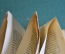 Книга "Растительные сообщества. Введение в фитосоциологию". Проф. В. Сукачев. Петроград, 1922 г. #K4
