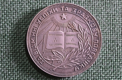 Серебряная школьная медаль УРСР образца 1949 года. Серебро, диаметр 32 мм.