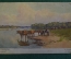 Открытка старинная "На водопое". Прокофьев. Изд. О-ва Св. Евгении. Царская Россия. #F4