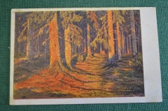 Открытка старинная "Лес". Штамп БРАК. Изд. тип. И. Федорова. СССР. 1920е. #F2