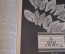 Журнал старинный "Deutsche Illustrierte". Отдых на Балтийском море. Рейх. Июль 1938 года. Германия.