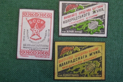 Этикетки спичечные "Выявляйте колорадского жука". Подборка (3 шт.) Везувий, Белица. #O1