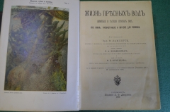Книга старинная "Жизнь пресных вод". Ламперт Курт. Издание Девриена, СПБ, 1900 год. #N1
