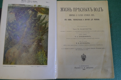 Книга старинная "Жизнь пресных вод". Ламперт Курт. Издание Девриена, СПБ, 1900 год. #N1