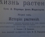 Книга старинная "Жизнь растений. Второй том. История растений". Проф. А. Кернер. СПБ, 1903 год. #N2